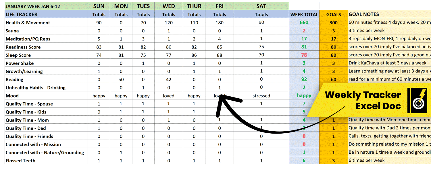 Weekly excel document - life and habit tracker system